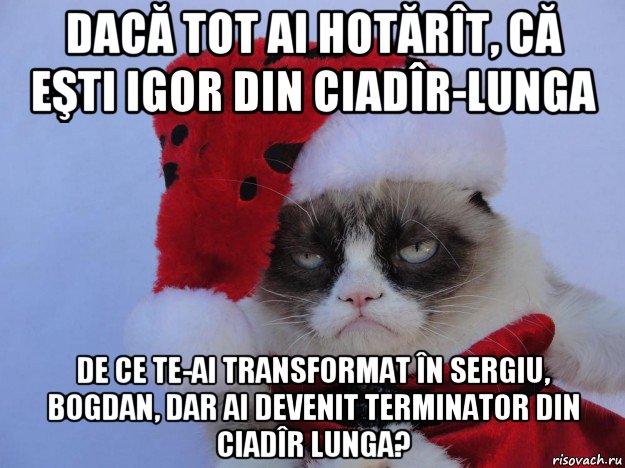 dacă tot ai hotărît, că eşti igor din ciadîr-lunga de ce te-ai transformat în sergiu, bogdan, dar ai devenit terminator din ciadîr lunga?, Мем   С нг кароч