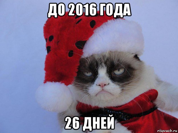 до 2016 года 26 дней