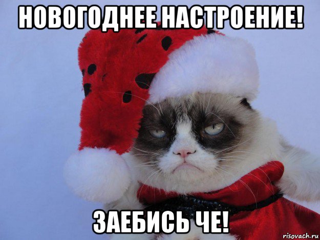 новогоднее настроение! заебись че!