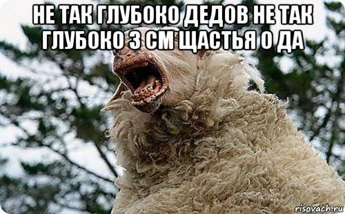 не так глубоко дедов не так глубоко 3 см щастья о да 