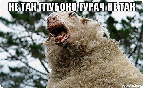 не так глубоко гурач не так 