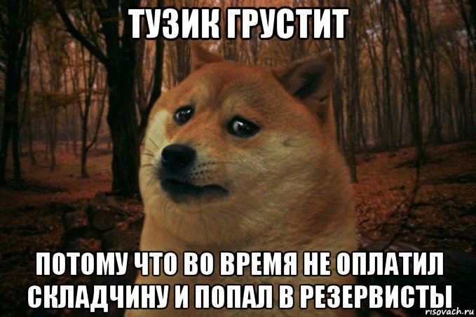 тузик грустит потому что во время не оплатил складчину и попал в резервисты, Мем SAD DOGE