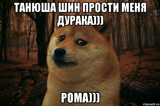 танюша шин прости меня дурака))) рома))), Мем SAD DOGE