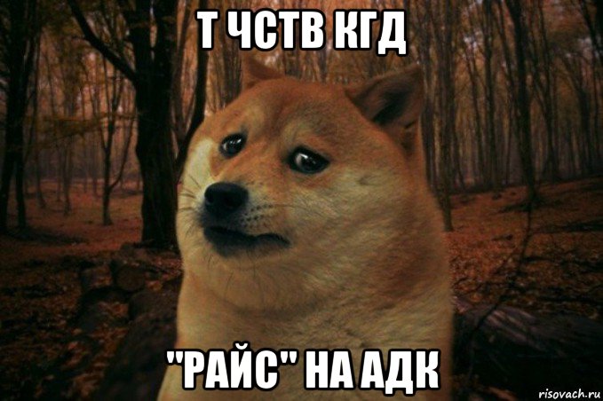 т чств кгд "райс" на адк, Мем SAD DOGE