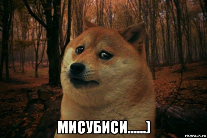  мисубиси......), Мем SAD DOGE