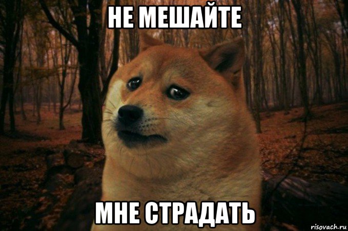 не мешайте мне страдать, Мем SAD DOGE