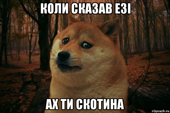 коли сказав езі ах ти скотина, Мем SAD DOGE