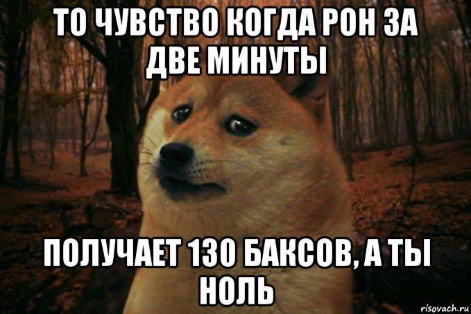 то чувство когда рон за две минуты получает 130 баксов, а ты ноль, Мем SAD DOGE