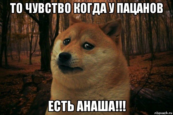 то чувство когда у пацанов есть анаша!!!, Мем SAD DOGE