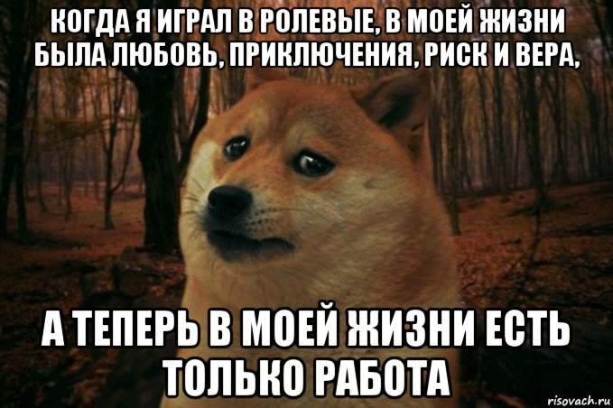 когда я играл в ролевые, в моей жизни была любовь, приключения, риск и вера, а теперь в моей жизни есть только работа, Мем SAD DOGE