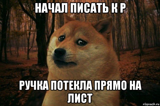 начал писать к р ручка потекла прямо на лист, Мем SAD DOGE