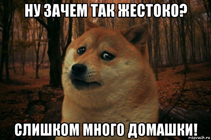 ну зачем так жестоко? слишком много домашки!, Мем SAD DOGE