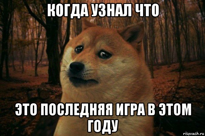 когда узнал что это последняя игра в этом году, Мем SAD DOGE