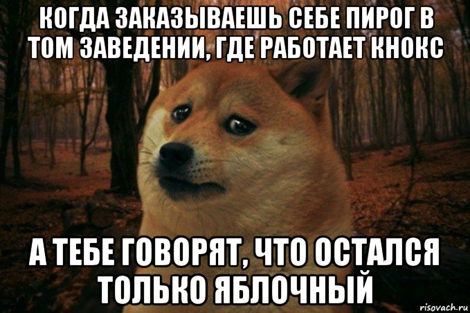 когда заказываешь себе пирог в том заведении, где работает кнокс а тебе говорят, что остался только яблочный, Мем SAD DOGE