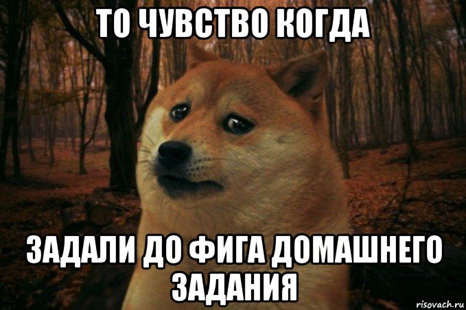 то чувство когда задали до фига домашнего задания, Мем SAD DOGE