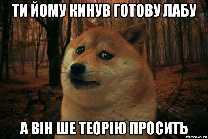 ти йому кинув готову лабу а він ше теорію просить, Мем SAD DOGE