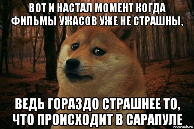 вот и настал момент когда фильмы ужасов уже не страшны, ведь гораздо страшнее то, что происходит в сарапуле, Мем SAD DOGE