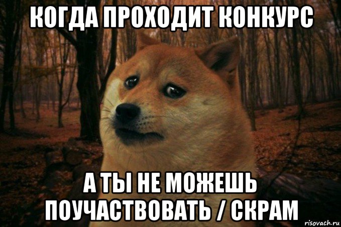 когда проходит конкурс а ты не можешь поучаствовать / скрам, Мем SAD DOGE