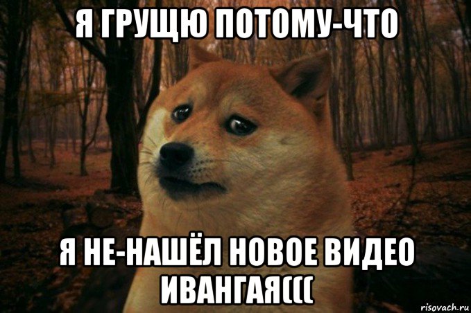 я грущю потому-что я не-нашёл новое видео ивангая(((, Мем SAD DOGE