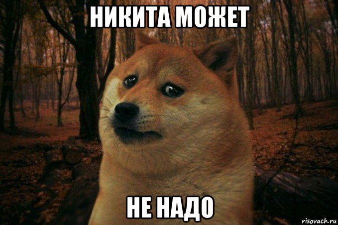 никита может не надо, Мем SAD DOGE