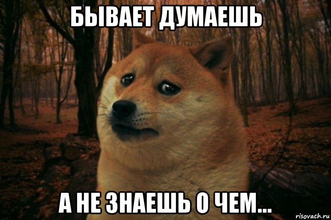 бывает думаешь а не знаешь о чем…, Мем SAD DOGE