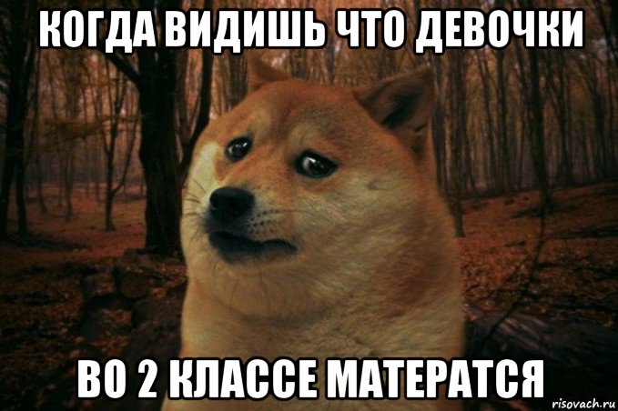 когда видишь что девочки во 2 классе матератся, Мем SAD DOGE