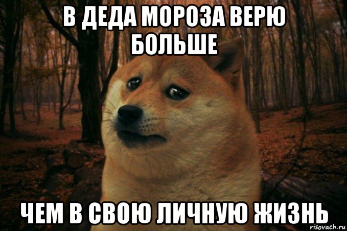 в деда мороза верю больше чем в свою личную жизнь, Мем SAD DOGE