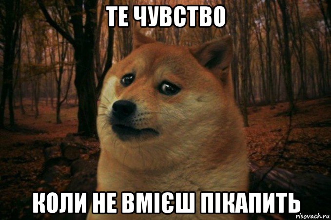 те чувство коли не вмієш пікапить, Мем SAD DOGE