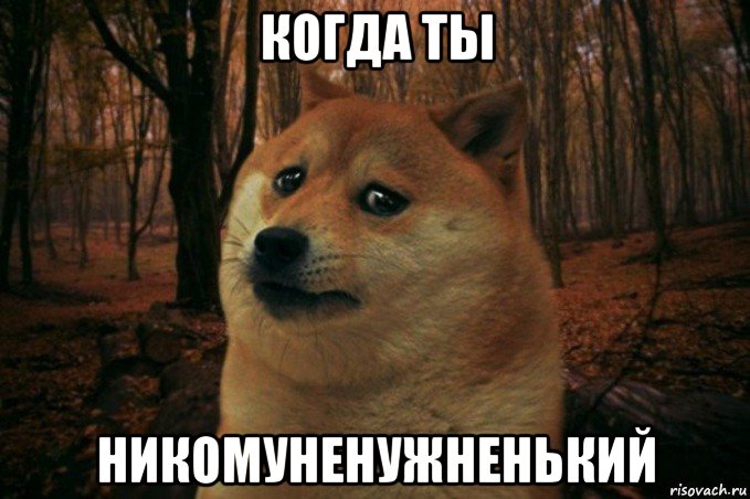 когда ты никомуненужненький, Мем SAD DOGE