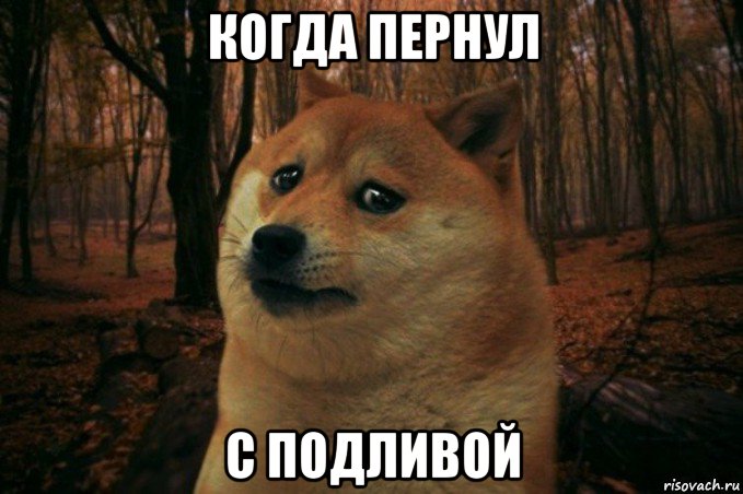 когда пернул с подливой, Мем SAD DOGE