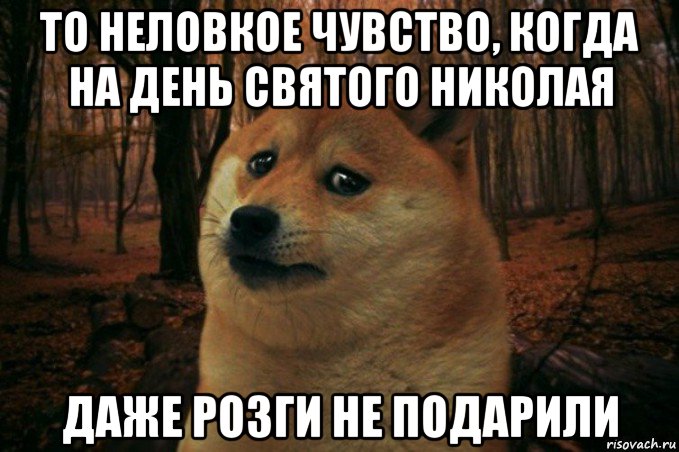 то неловкое чувство, когда на день святого николая даже розги не подарили, Мем SAD DOGE