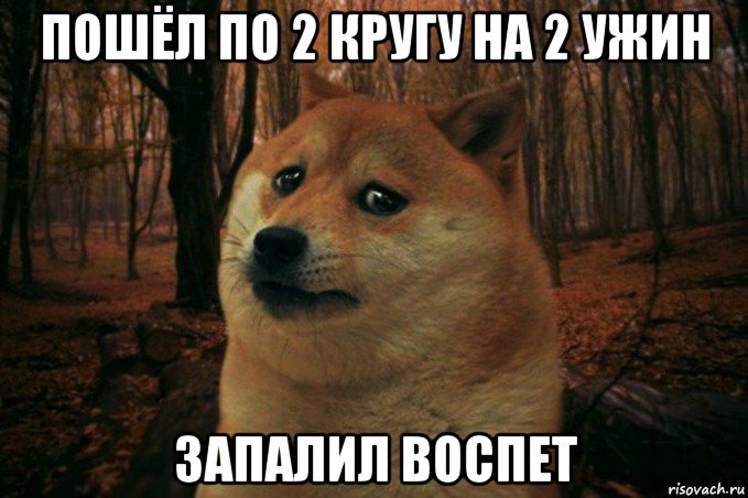 пошёл по 2 кругу на 2 ужин запалил воспет, Мем SAD DOGE