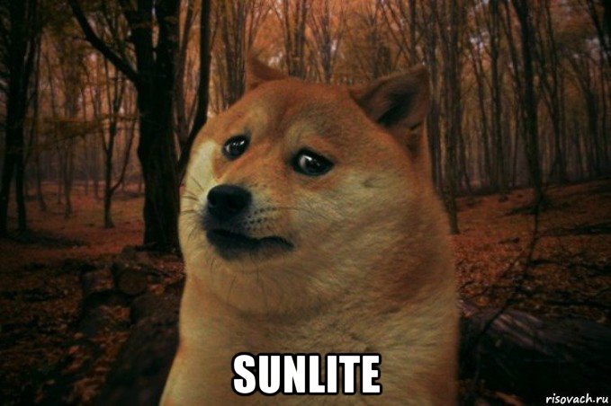  sunlite, Мем SAD DOGE