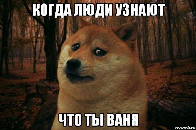 когда люди узнают что ты ваня, Мем SAD DOGE