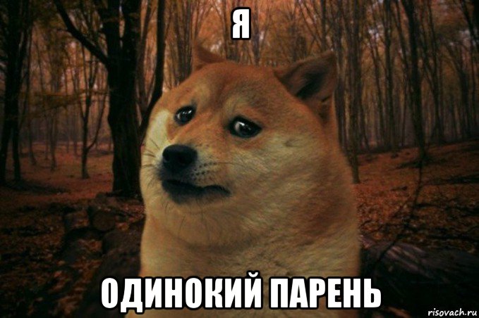 я одинокий парень, Мем SAD DOGE