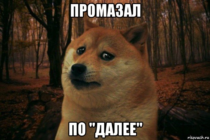 промазал по "далее", Мем SAD DOGE