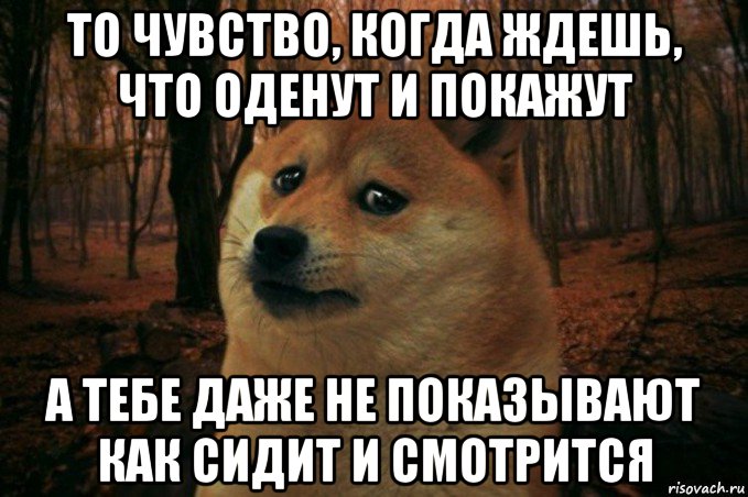 то чувство, когда ждешь, что оденут и покажут а тебе даже не показывают как сидит и смотрится, Мем SAD DOGE