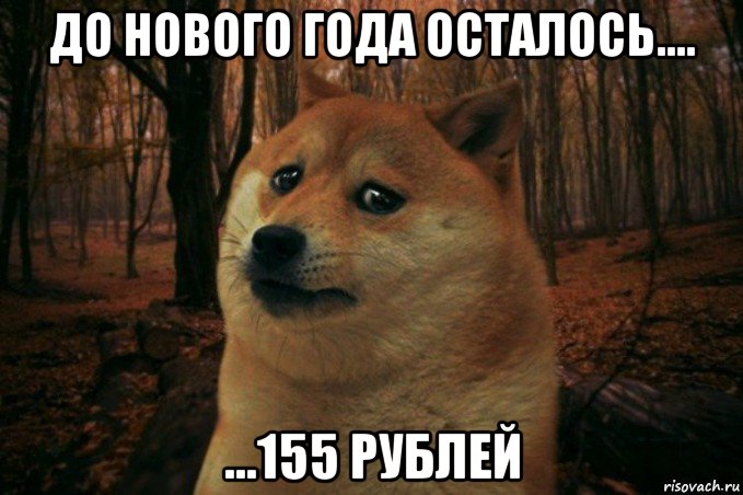 до нового года осталось.... ...155 рублей, Мем SAD DOGE