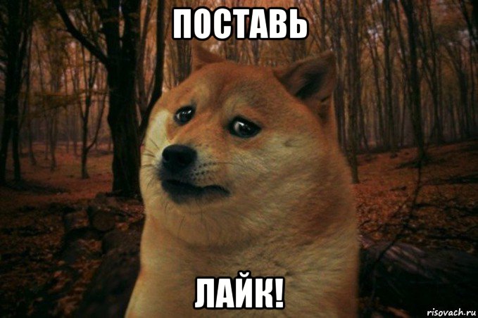 поставь лайк!, Мем SAD DOGE