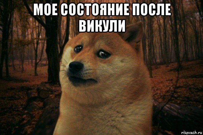 мое состояние после викули , Мем SAD DOGE