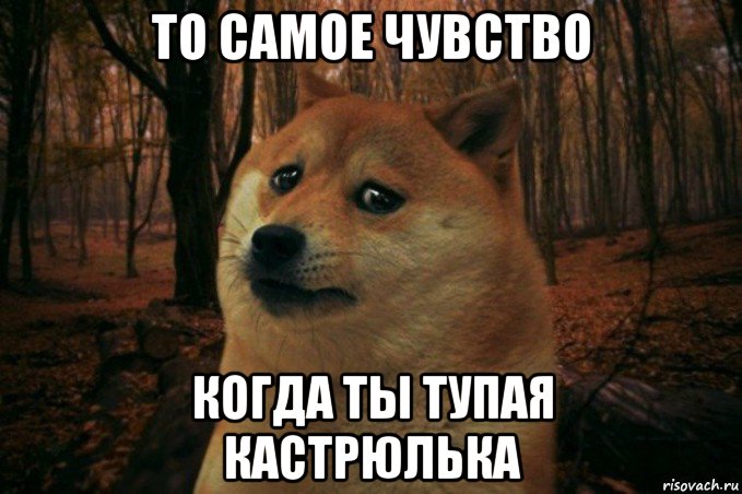 то самое чувство когда ты тупая кастрюлька, Мем SAD DOGE