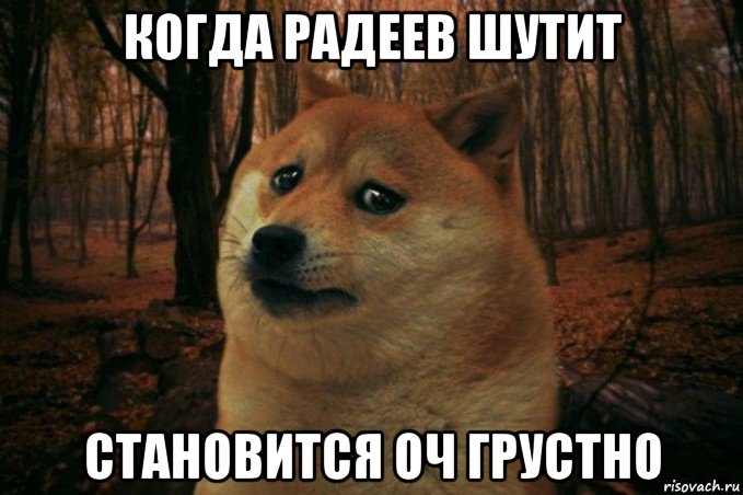 когда радеев шутит становится оч грустно, Мем SAD DOGE