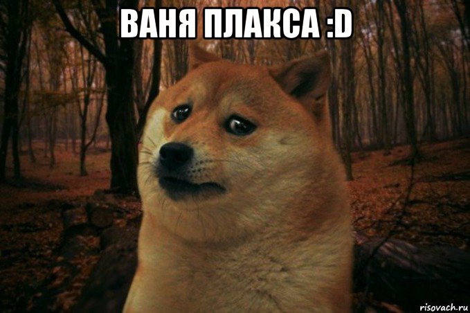 ваня плакса :d , Мем SAD DOGE