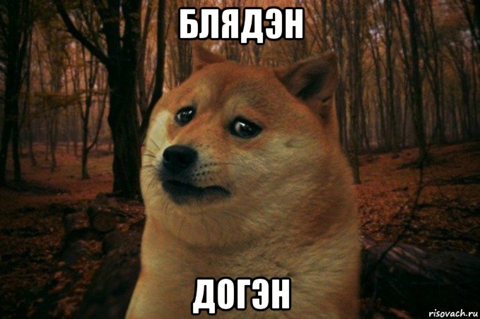 блядэн догэн, Мем SAD DOGE