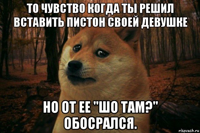 то чувство когда ты решил вставить пистон своей девушке но от ее "шо там?" обосрался., Мем SAD DOGE