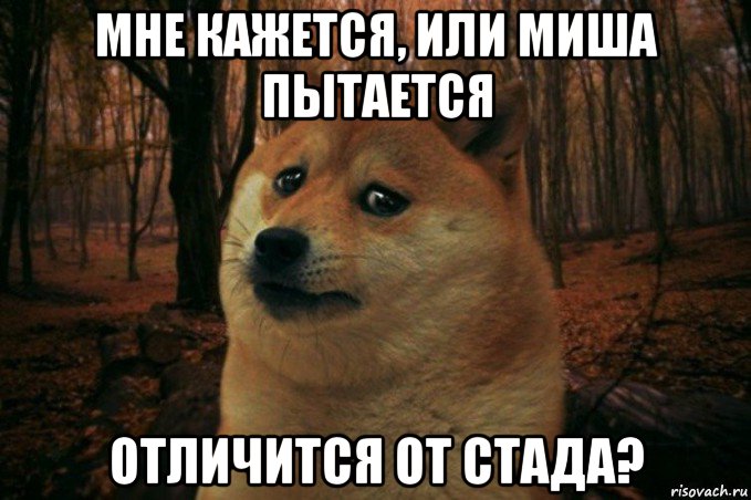 мне кажется, или миша пытается отличится от стада?, Мем SAD DOGE