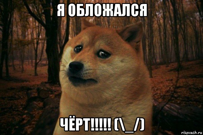 я обложался чёрт!!!!! (\_/), Мем SAD DOGE