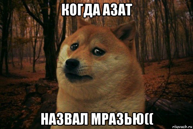 когда азат назвал мразью((, Мем SAD DOGE