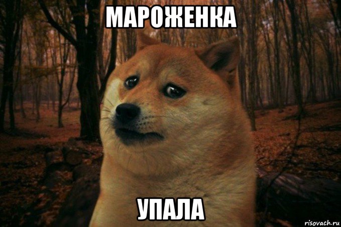 мароженка упала, Мем SAD DOGE