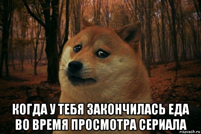  когда у тебя закончилась еда во время просмотра сериала, Мем SAD DOGE